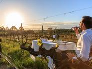 1 Day Luxury Tour in Alentejo